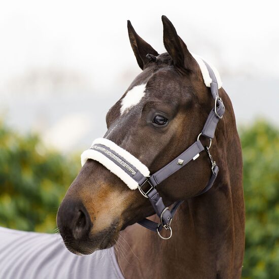 Apauši Jewel Tornado